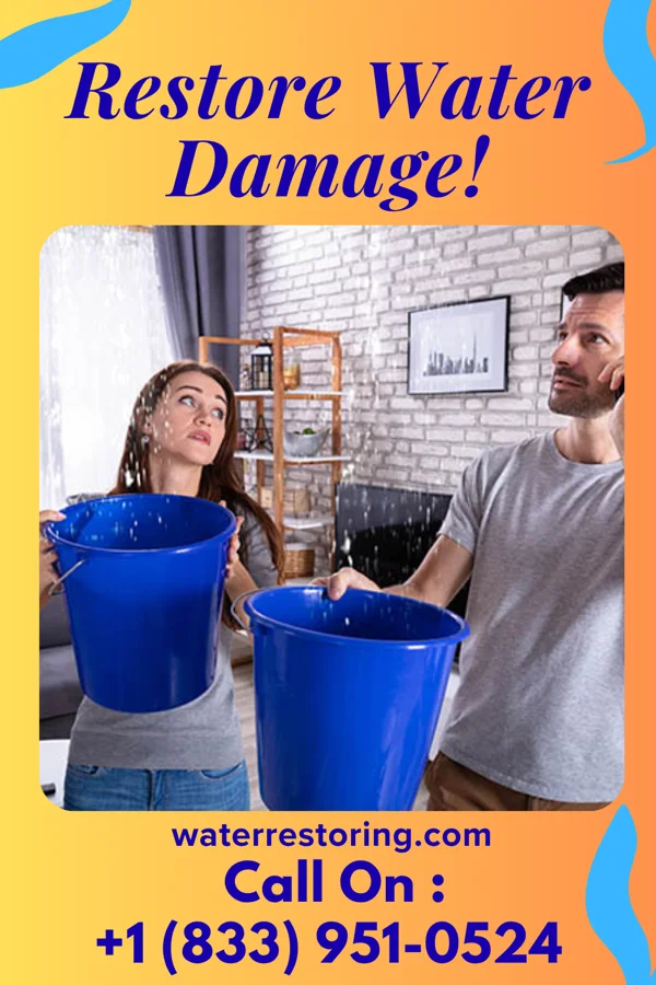water restoration Reliable Water Solutions Inc Patterson Springs