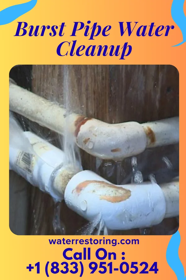 Burst Pipe Water Cleanup in Patterson Springs, NC