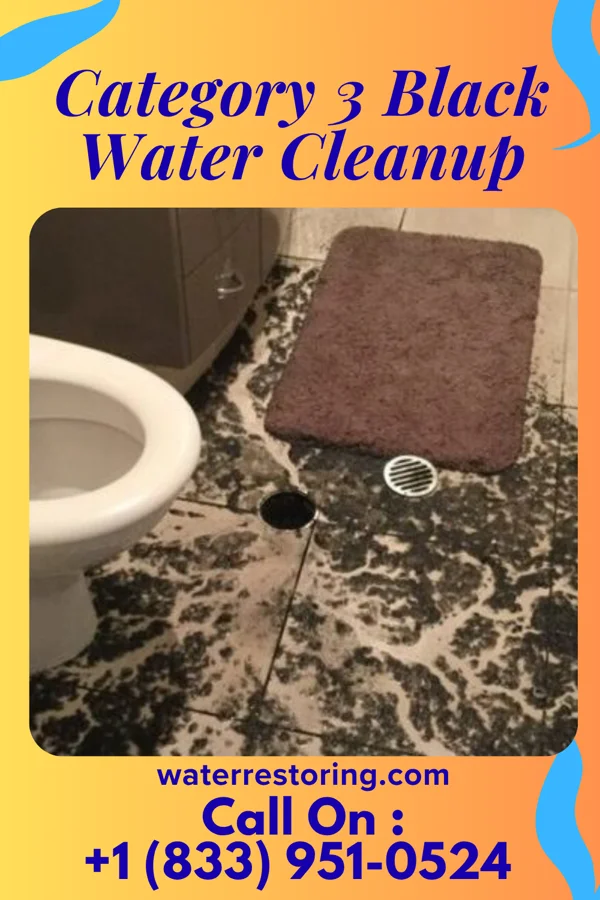 Category 3 Black Water Cleanup in Patterson Springs, NC