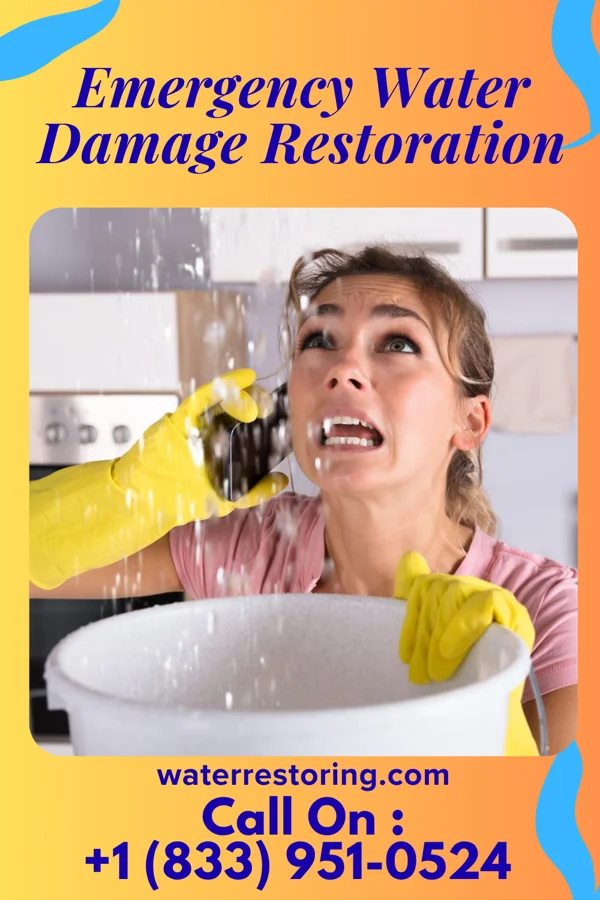 Emergency Water Damage Restoration in Patterson Springs, NC