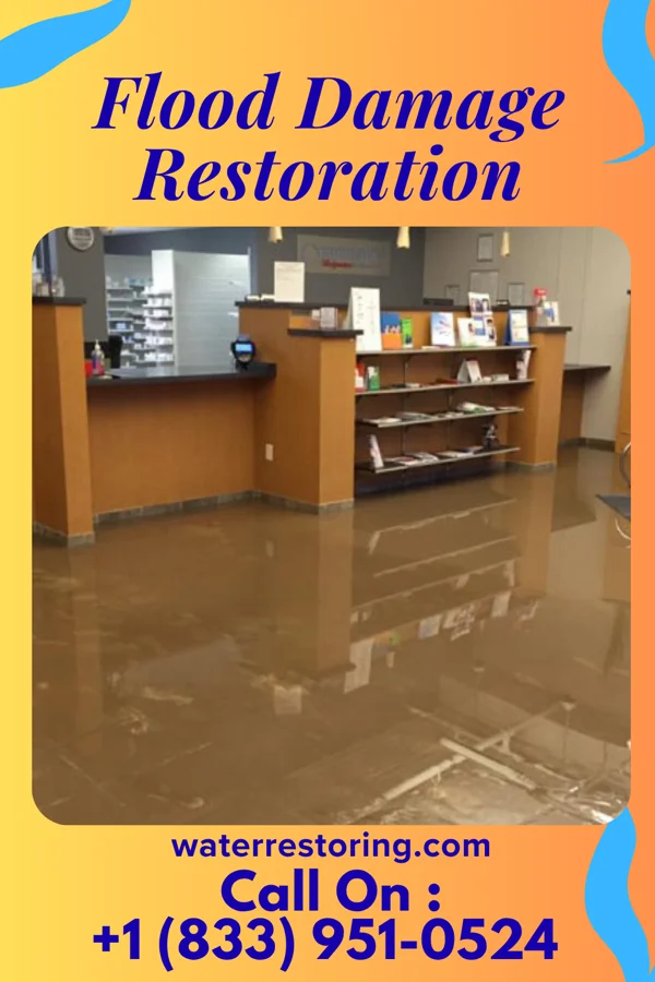 Flood Damage Restoration in Patterson Springs, NC