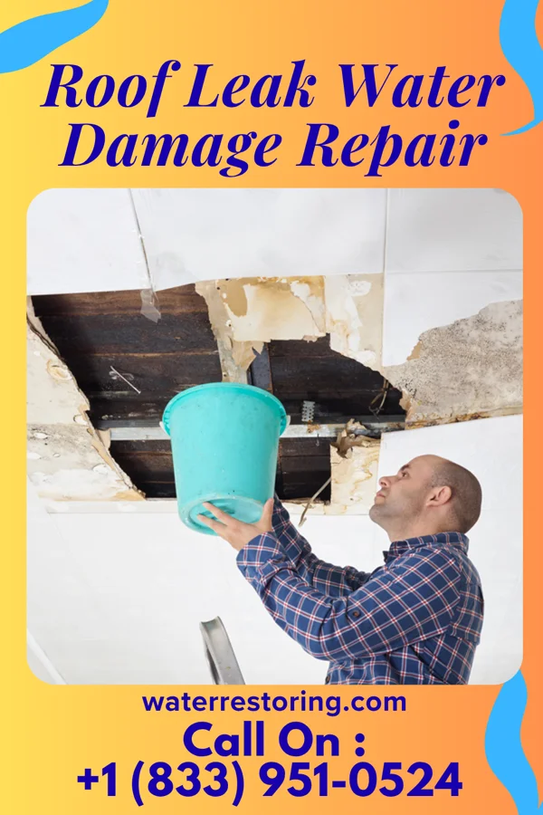 Roof Leak Water Damage Repair in Patterson Springs, NC