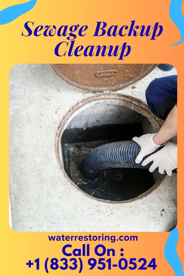 Sewage Backup Cleanup in Patterson Springs, NC