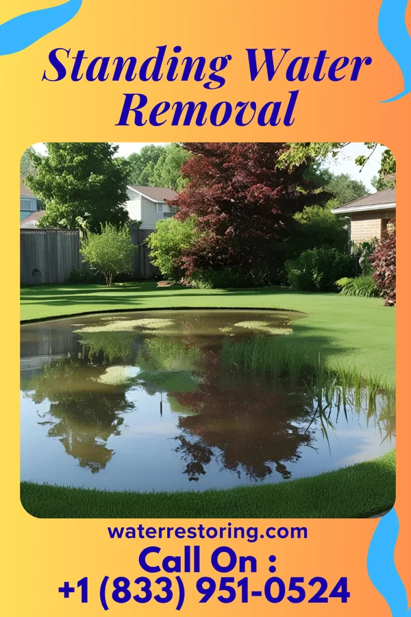 Standing Water Removal in Patterson Springs, NC